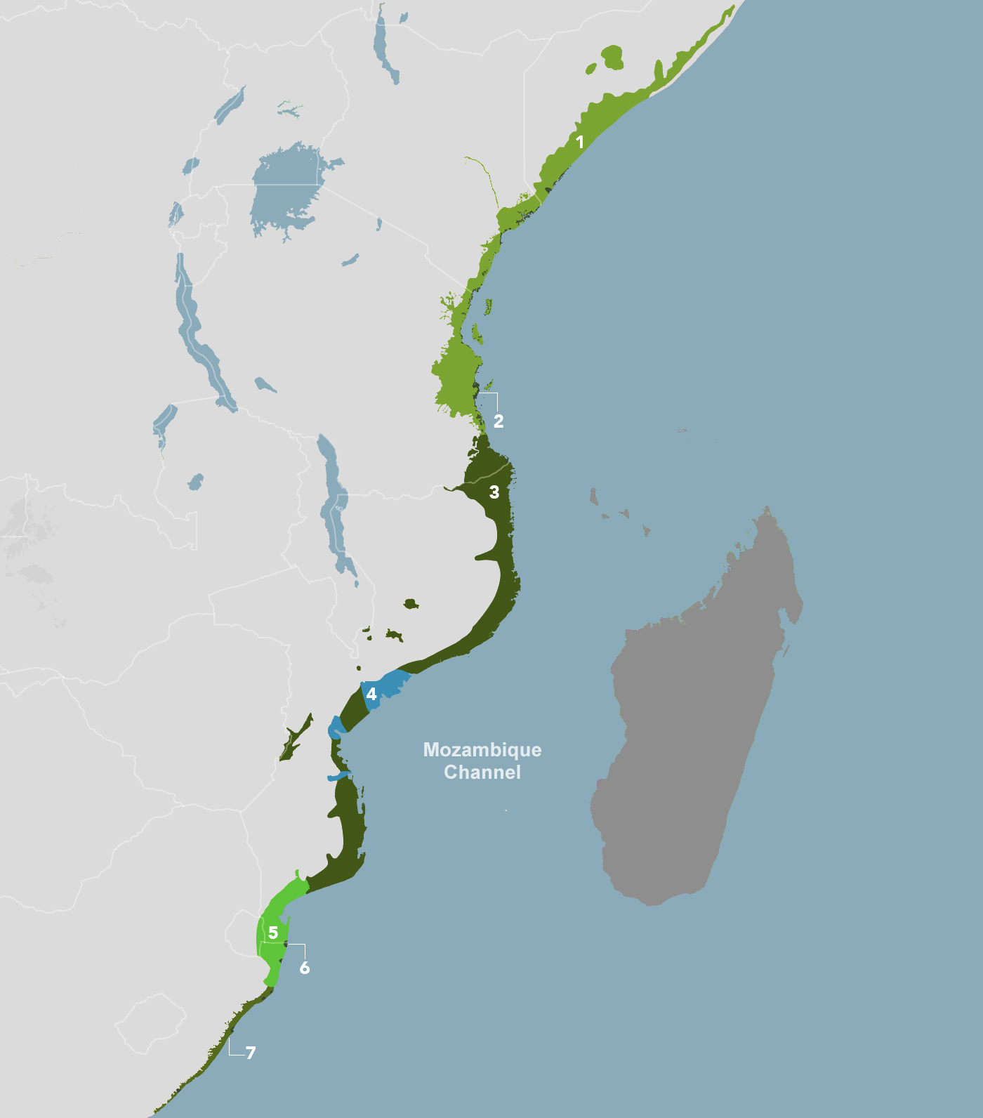 East African Coastal Forests (AT7) One Earth